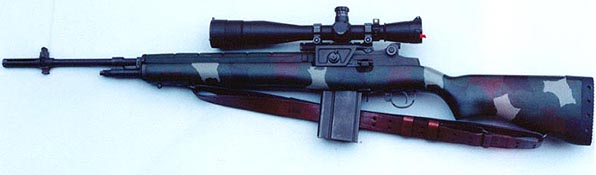 m25 sniper rifle